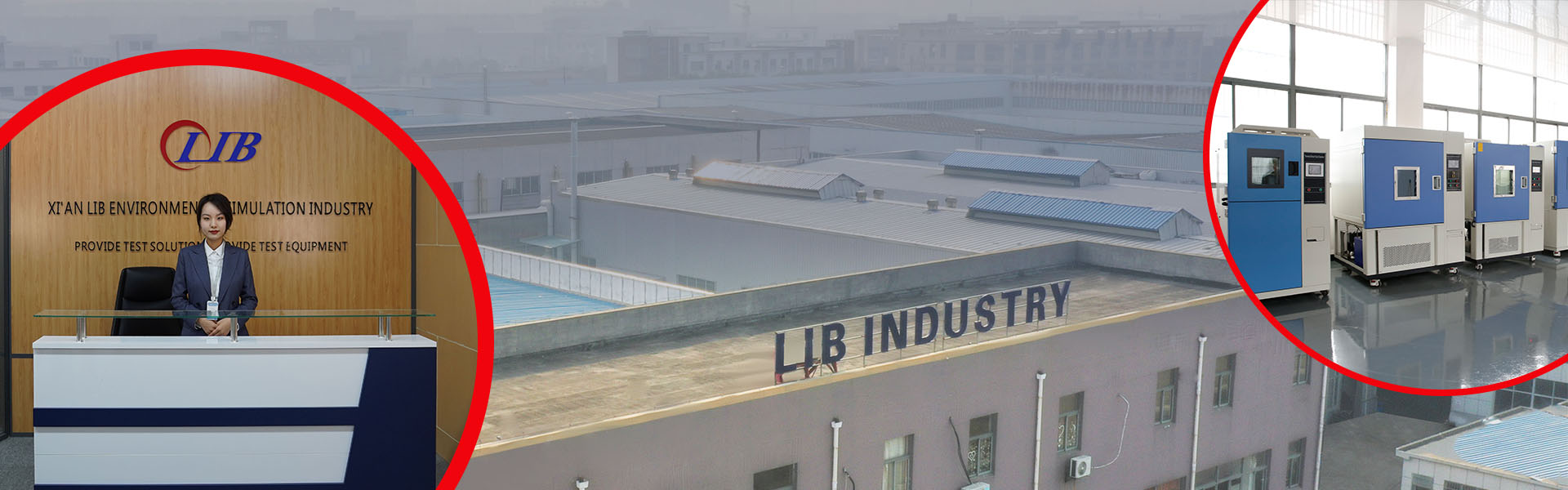 حول صناعة LIB