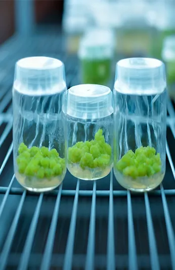 غرفة اختبار بيئية لعلم الأحياء